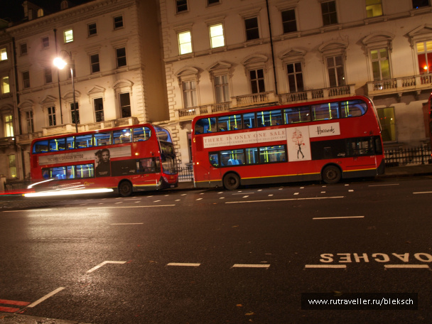 photo 228498