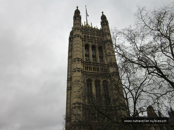 photo 228524