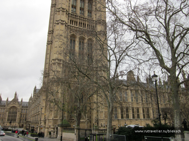 photo 228525