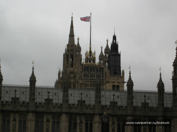 photo 228529