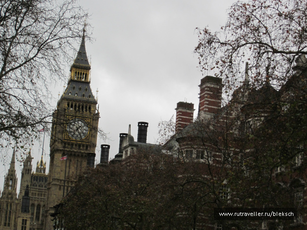 photo 228531