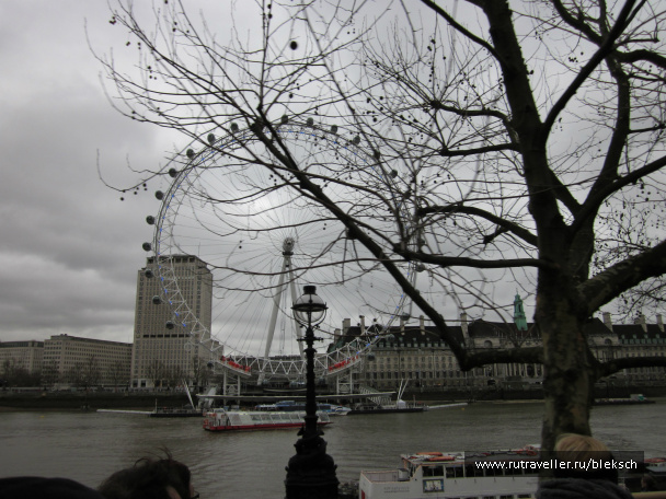 photo 228532