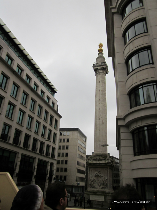 photo 228552