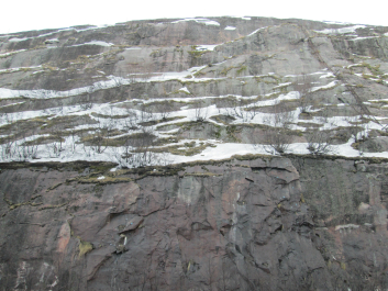 photo 999376