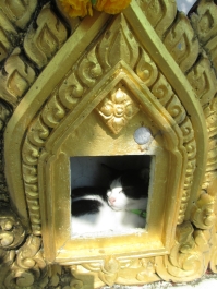 photo 283690