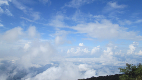 photo 1024134