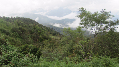 photo 1024142