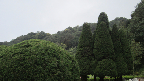 photo 1024157