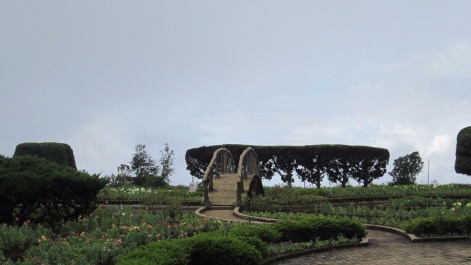 photo 1024158