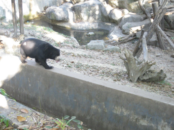 photo 283914