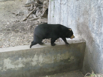 photo 283915
