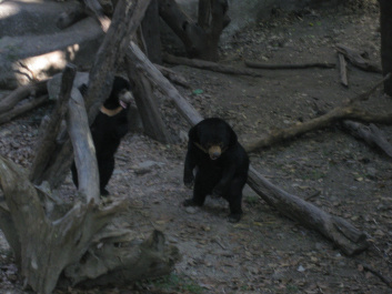 photo 283916