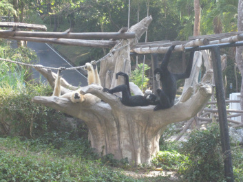 photo 283919