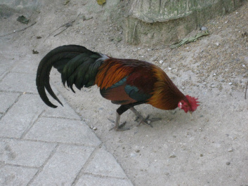 photo 283923