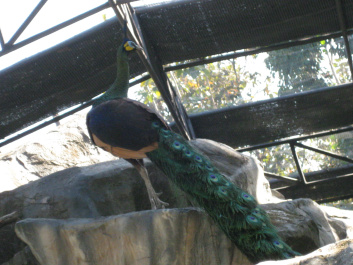 photo 283924