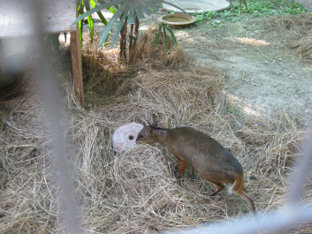 photo 283928