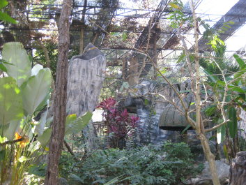 photo 283931