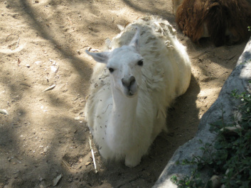 photo 283935