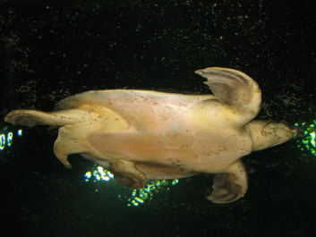 photo 283943