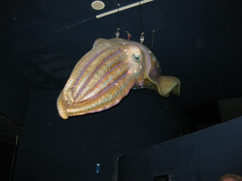photo 283945