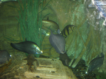 photo 283952