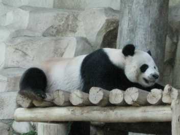 photo 283961