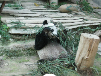 photo 283972