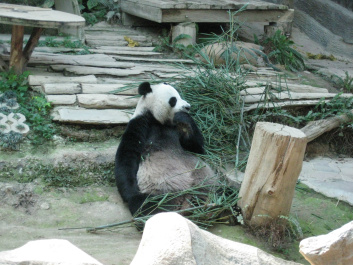 photo 283978