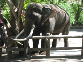 photo 283984