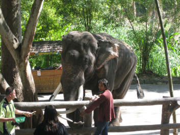 photo 283985