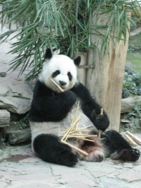 photo 283969