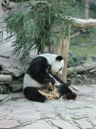 photo 283964