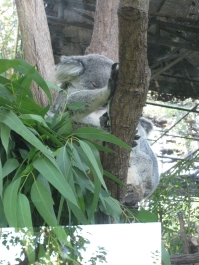 photo 283938