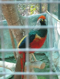 photo 283926