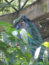 photo 283925