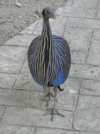 photo 283922