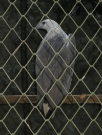 photo 283920