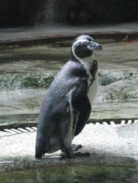 photo 283917