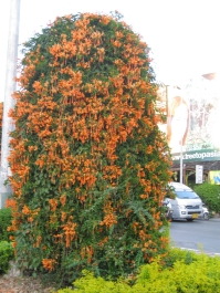 photo 284024
