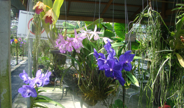 DSC01740