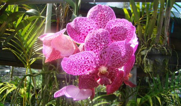DSC01738