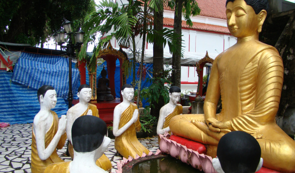DSC01603