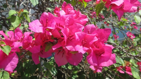 photo 970095