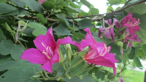 photo 927658