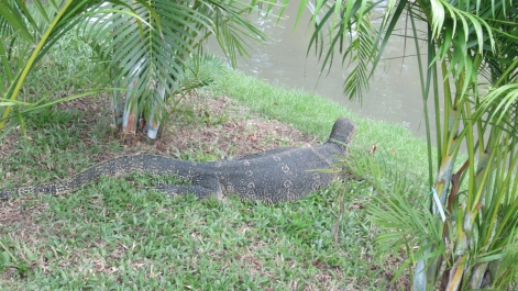 photo 927659