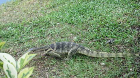 photo 927660