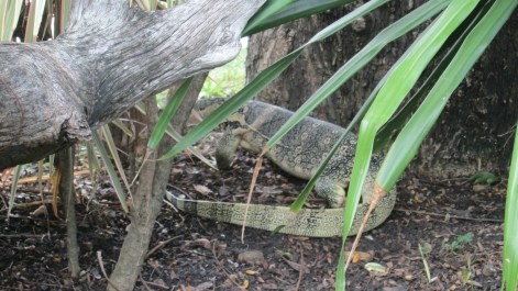 photo 927661