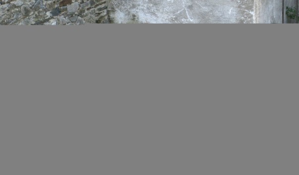 IMG_1598