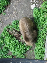 photo 978286