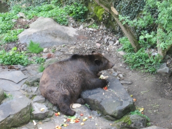 photo 978290